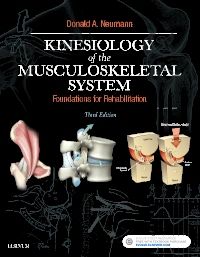 Kinesiology of the Musculoskeletal System