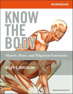 Workbook for Know the Body: Muscle, Bone, and Palpation Essentials