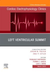 Left Ventricular Summit, An Issue of Cardiac Electrophysiology Clinics