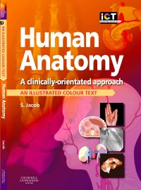 Human Anatomy