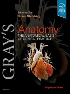 Gray's Anatomy