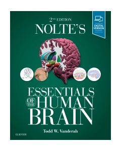 Nolte's Essentials of the Human Brain