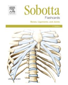 Sobotta Flashcards Bones, Ligaments, and Joints