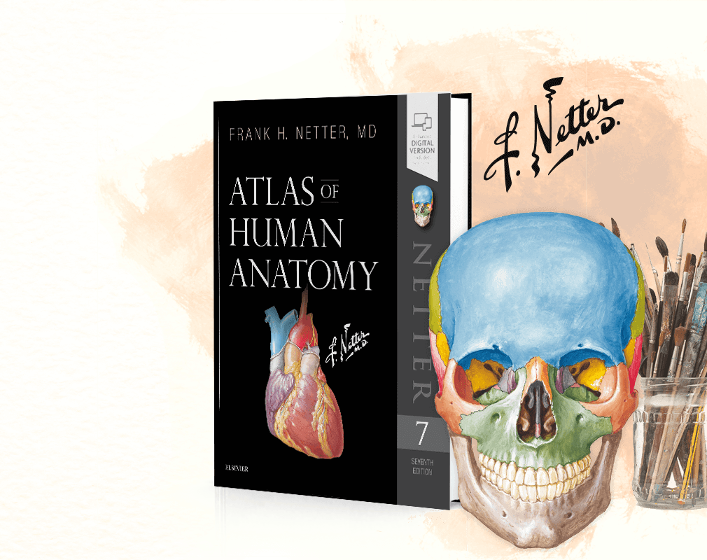 Фрэнк Неттер атлас анатомии человека. Фрэнк Неттер анатомия 6 издание. Анатомия Фрэнка Неттера. Фрэнк неттер атлас